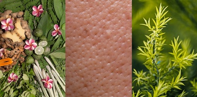 Pores dilatés : solutions naturelles